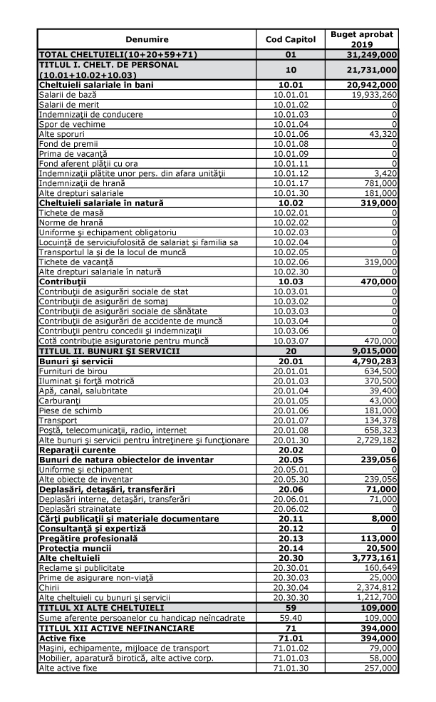 Bugetul de cheltuieli pentru anul 2019